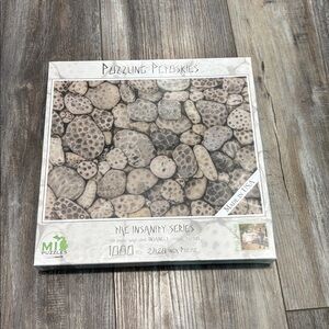 Petoskey Stones Rock 1000 Piece Puzzle NEW